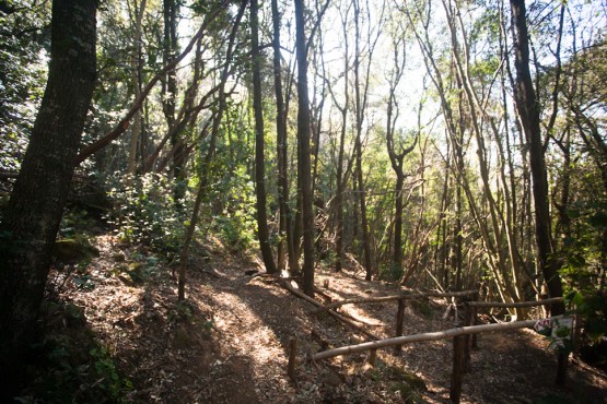 120316_untitled_Canon EOS-1Ds Mark II_0001