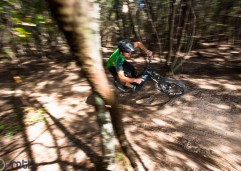 20120917_actionwoods_9509